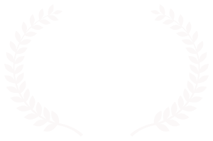 Music Video Awards